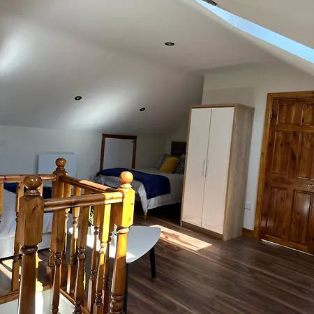 Out In B N B B&B 더블린